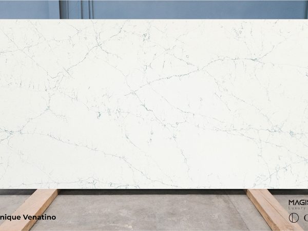 MG9666 Unique Venatino 1 2