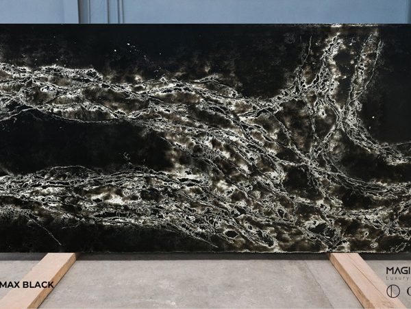 MG9882 ice max black 1 2