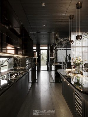 58 Binh Le MG9882 Ice Max Black 2