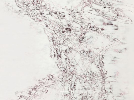 ice viola ung dung 3