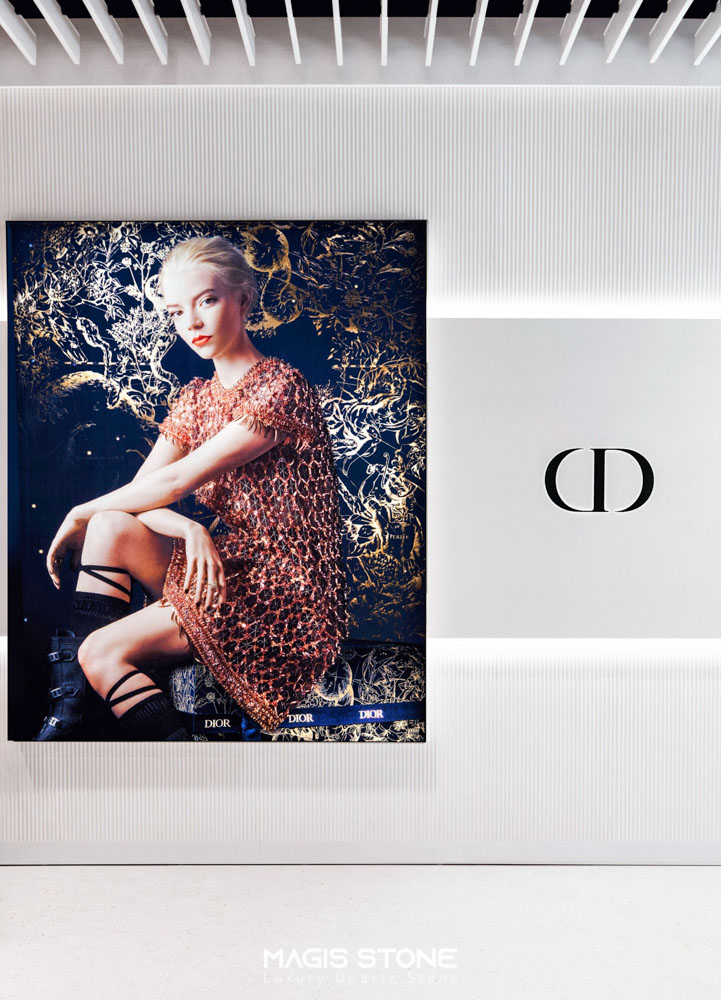 christian dior panama 2