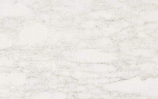 White Feather DET 300dpi dettaglio 1 800x500 1