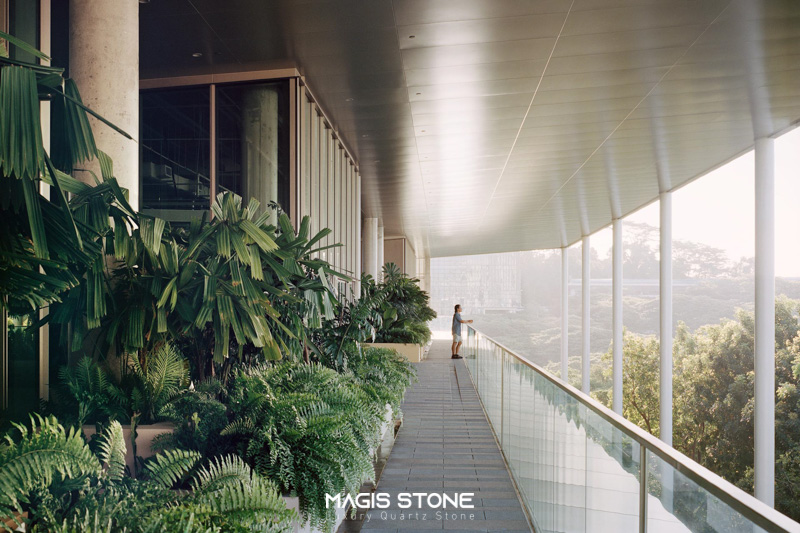 lam mat voi tham thuc vat