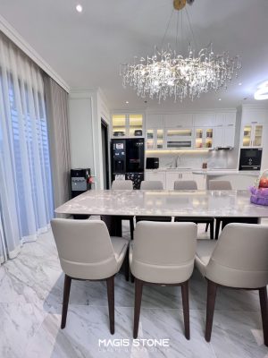 vinhome ocp1 mg9880 ice white 6