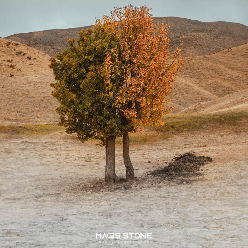 sand dune inspiration